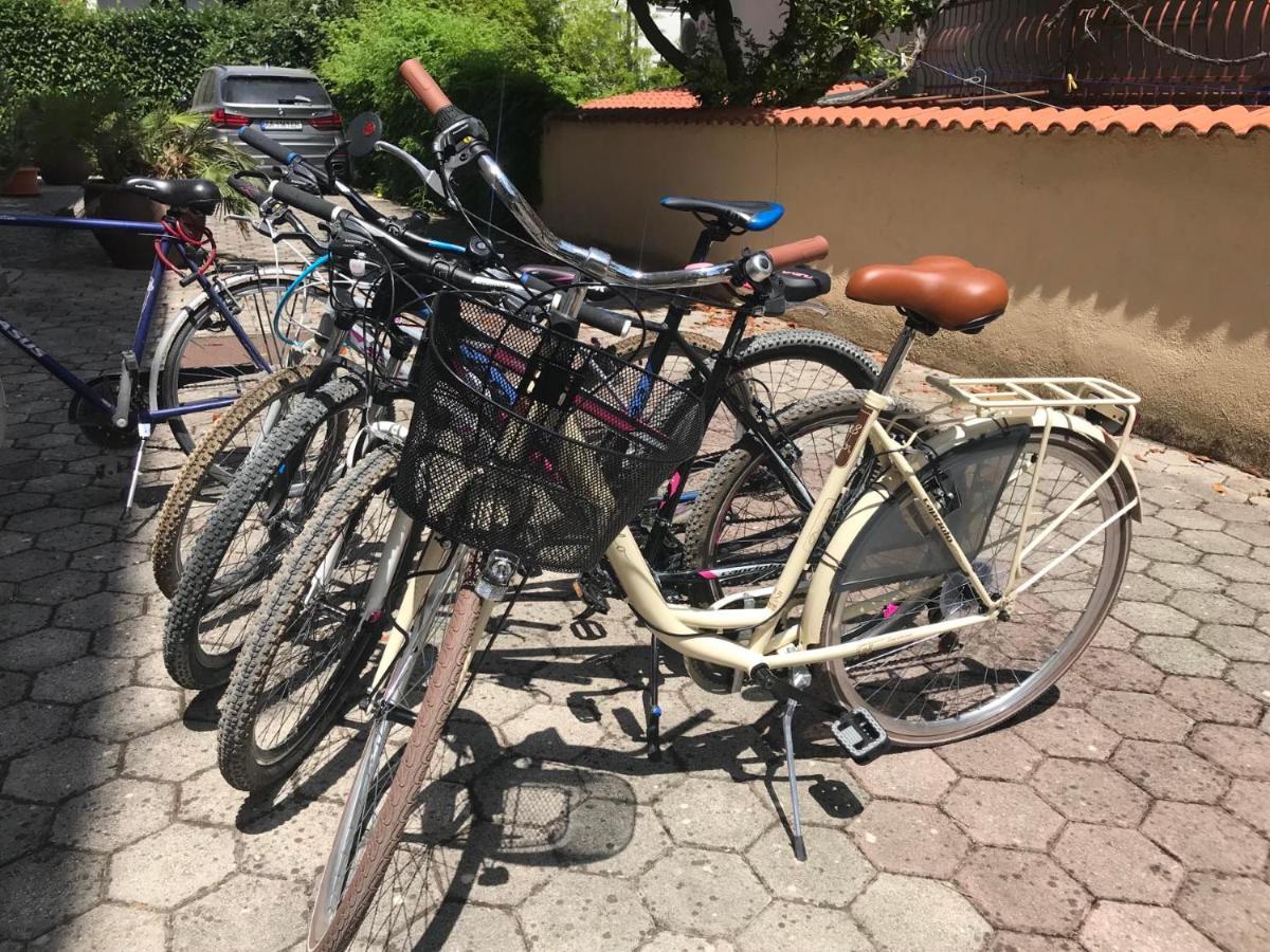Lola Apartmani Rovinj Eksteriør bilde